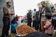 سومین جشنواره گردوی ثمرین اردبیل