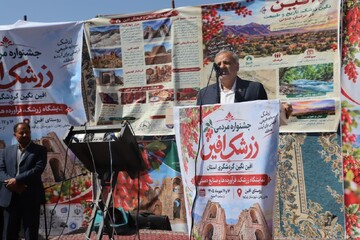 زرشک؛ محور توسعه گردشگری و رونق اقتصادی افین