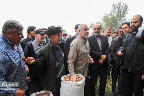 سومین جشنواره گردوی ثمرین اردبیل