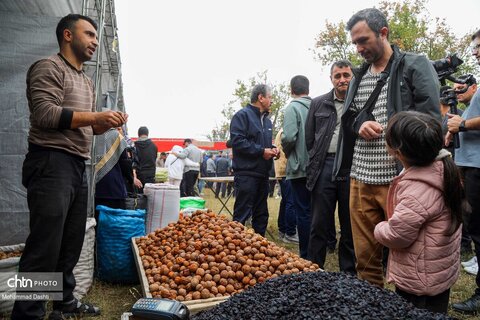 سومین جشنواره گردوی ثمرین اردبیل