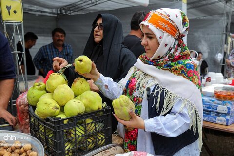 سومین جشنواره گردوی ثمرین اردبیل