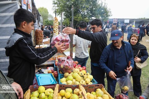 سومین جشنواره گردوی ثمرین اردبیل
