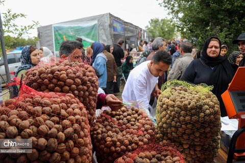 سومین جشنواره گردوی ثمرین اردبیل