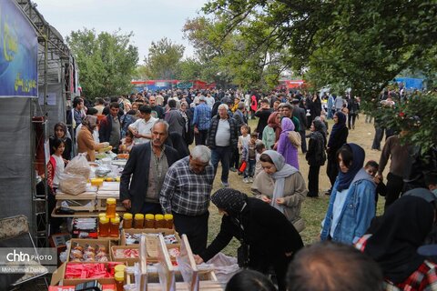 سومین جشنواره گردوی ثمرین اردبیل