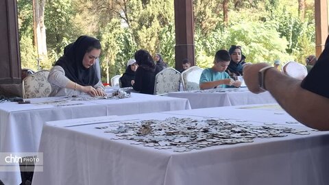 برگزاری دومین المپیاد کشوری بازی‌های فکری در چهلستون اصفهان