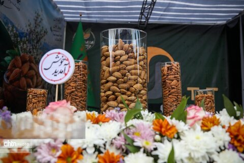 جشنواره بادام شهرستان بن
