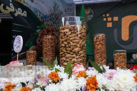 جشنواره بادام شهرستان بن