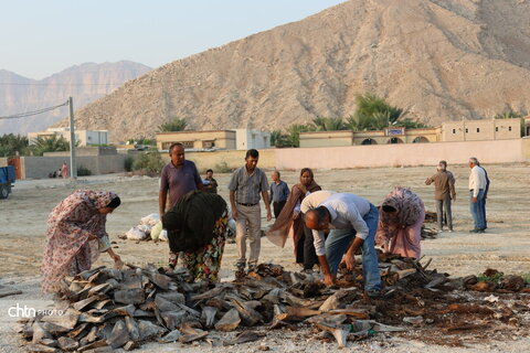 هرمزگان