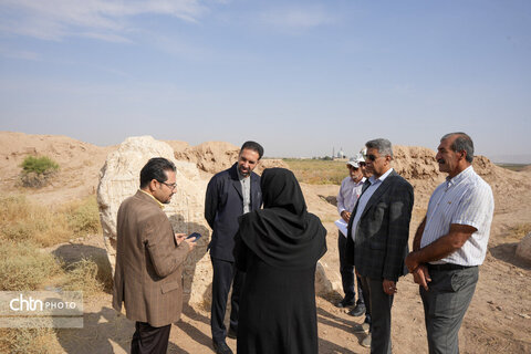 سیرجان