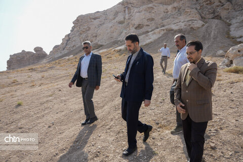 سیرجان
