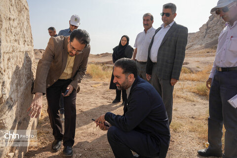 سیرجان