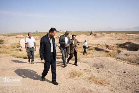 سیرجان
