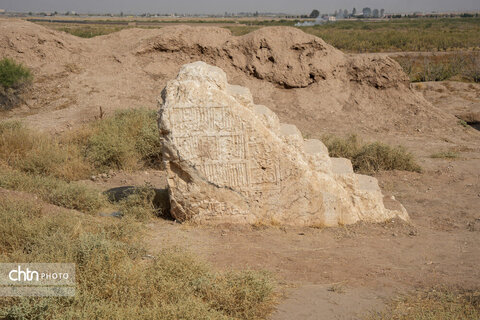 سیرجان