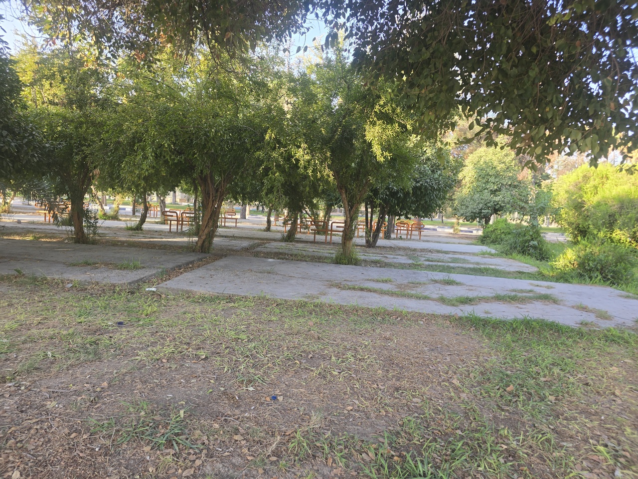 پارک جنگلی دهدشت؛ داشته‌ای که باید حفظ و توسعه یابد