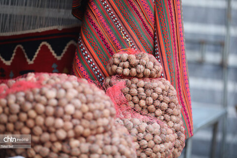 چهارمین جشنواره گردوی کلور