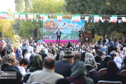 چهارمین جشنواره گردوی کلور