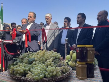 سیزدهمین جشنواره انگور هزاوه آغاز شد