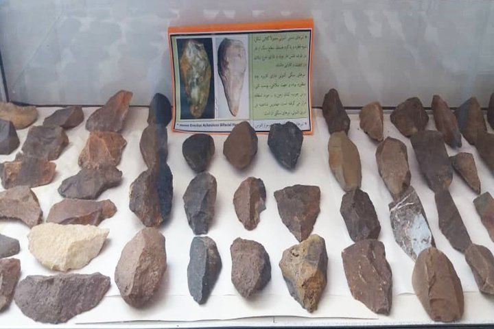 موزه فسیل