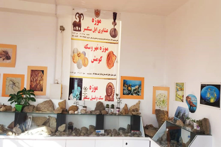موزه فسیل
