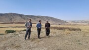 بازدید سرپرست میراث‌فرهنگی کرمانشاه از تپه‌های تاریخی شهرستان اسلام آبادغرب/ تأکید بر تعیین عرصه و حریم و بازنگری نقشه‌های روستایی