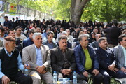 آغاز جشن گردو در جنگل‌های سرسبز سهرورد
