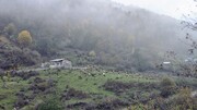 واکاویِ زیبایی‌شناسی پاییزی در زیست‌بوم‌های ارتفاعی گلستان؛ میراثی زنده از رنگ و نور