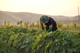 روستای گردشگری شیخ مکان در ایلام