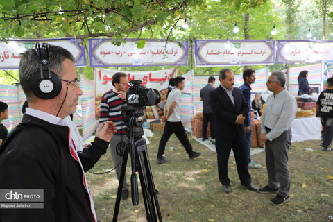برگزاری جشنواره گردو در خدابنده