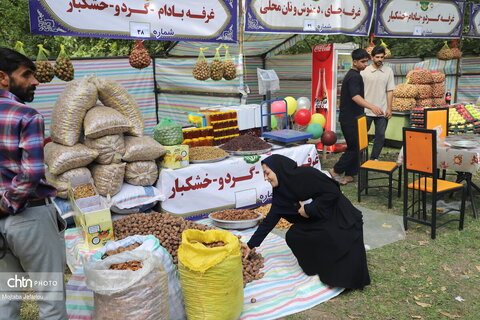 برگزاری جشنواره گردو در خدابنده