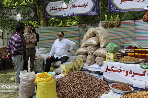 برگزاری جشنواره گردو در خدابنده