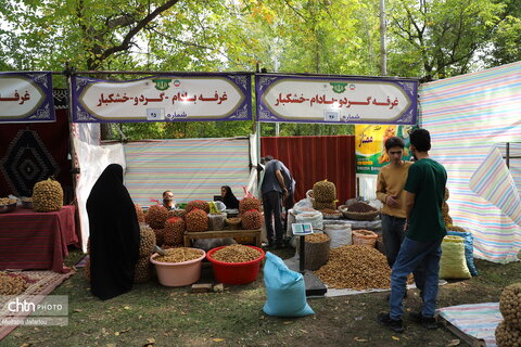 برگزاری جشنواره گردو در خدابنده