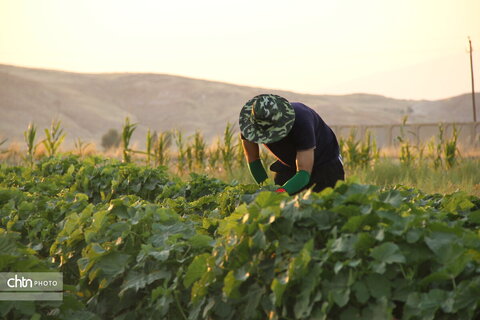 روستای گردشگری شیخ مکان در ایلام
