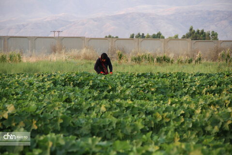 روستای