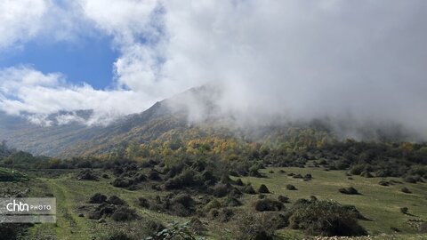 واکاویِ زیبایی‌شناسی پاییزی در زیست‌بوم‌های ارتفاعی گلستان: میراثی زنده از رنگ و نور