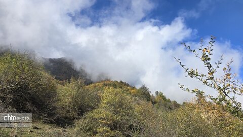 واکاویِ زیبایی‌شناسی پاییزی در زیست‌بوم‌های ارتفاعی گلستان: میراثی زنده از رنگ و نور