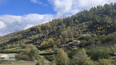 واکاویِ زیبایی‌شناسی پاییزی در زیست‌بوم‌های ارتفاعی گلستان: میراثی زنده از رنگ و نور