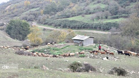 واکاویِ زیبایی‌شناسی پاییزی در زیست‌بوم‌های ارتفاعی گلستان: میراثی زنده از رنگ و نور