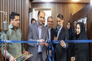 بازار فروش؛ حلقه مفقوده حمایت از هنرمندان صنایع‌دستی است