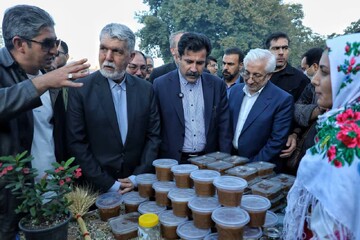 روستای ارکان میزبان معاون رئیس‌جمهوری و وزیر فرهنگ و ارشاد اسلامی/ برپایی ۱۰ غرفه صنایع‌دستی در حاشیه بازدید مسئولان ملی