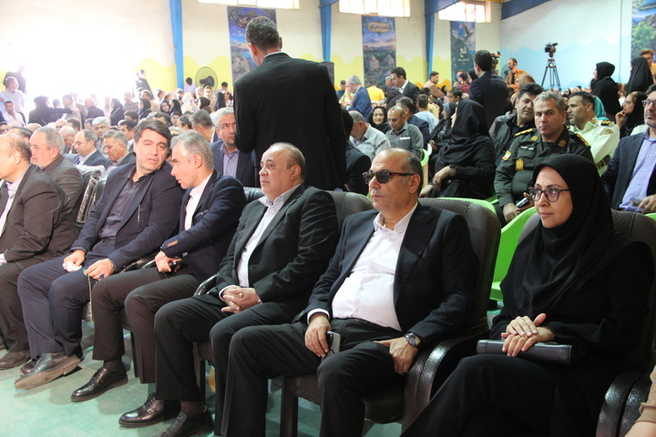 زیتون