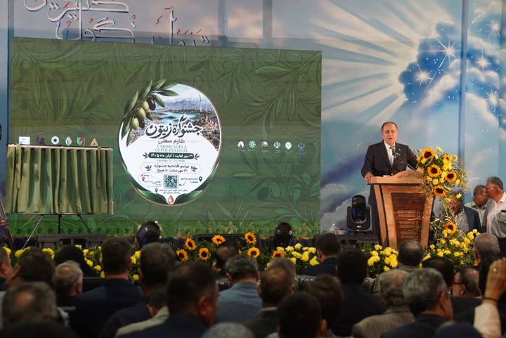 زیتون
