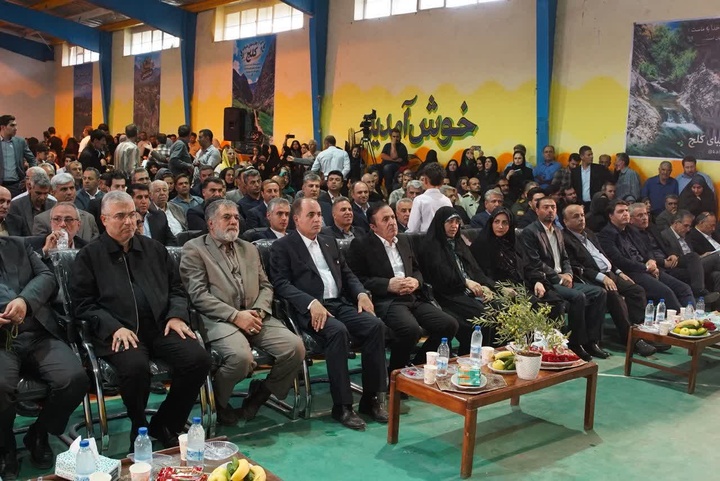 زیتون