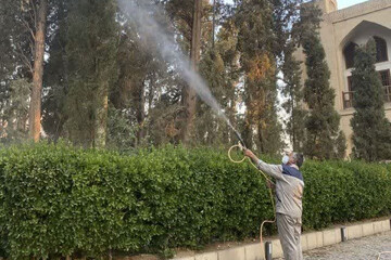 قرارگرفتن باغ فین کاشان در فهرست طرح های نشان دار مالیاتی