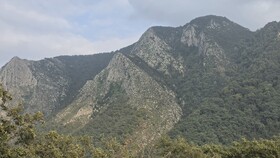 نیلکوه؛ شکوه طبیعت در قاب گالیکش
