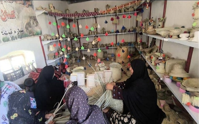 گنجی طبیعی در خدمت صنایع‌دستی سیستان و بلوچستان/ داز؛ میراثی ماندگار در اقتصاد و طبیعت