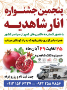 پنجمین جشنواره انار شاهدیه از ۲۵ آبان برگزار می‌شود