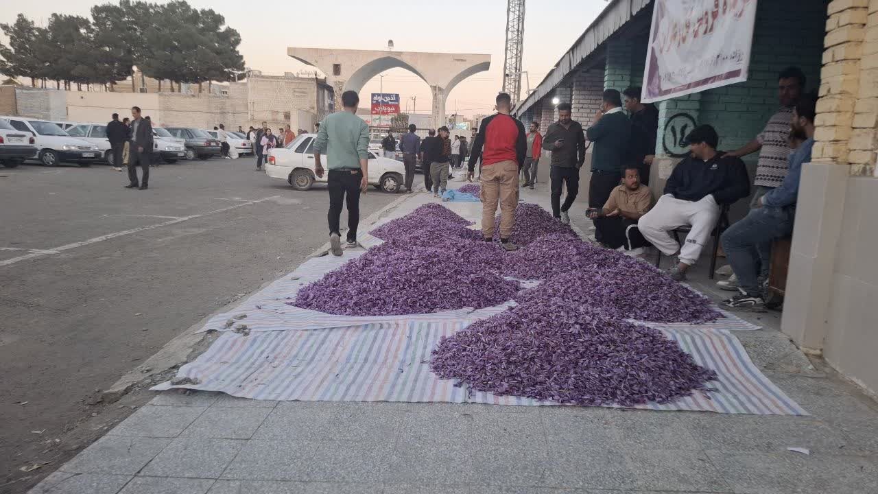تور آشناسازی زعفران به مقصد تربت حیدریه برگزار شد