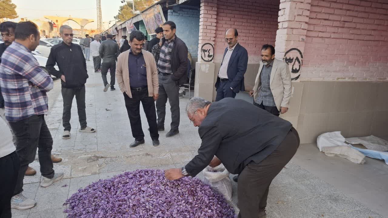 تور آشناسازی زعفران به مقصد تربت حیدریه برگزار شد