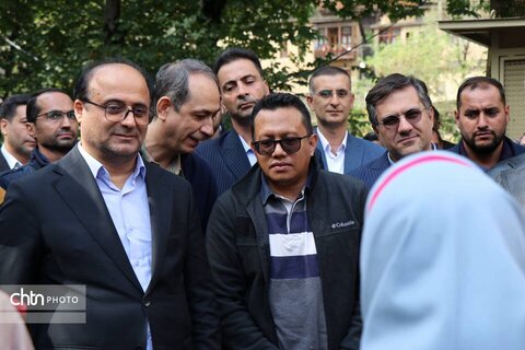 نماینده ایکوموس/ شهر تاریخی ماسوله