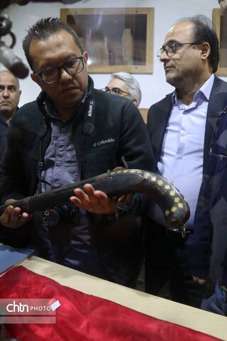 نماینده ایکوموس/ شهر تاریخی ماسوله